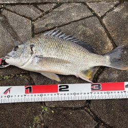 奇跡ってあります！