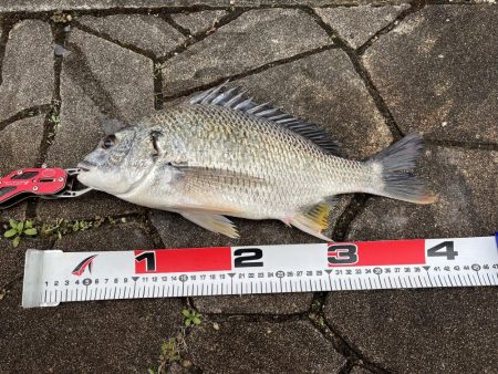 奇跡ってあります！