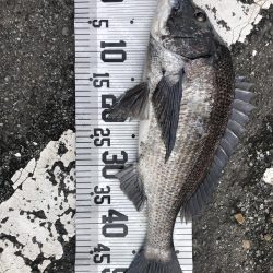 年無し4枚❗️（イチノ兄弟）