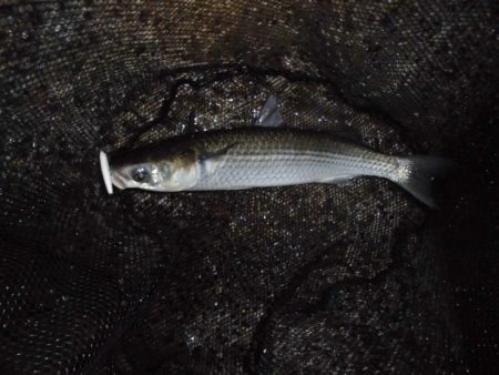 終了間際に本命のヒット…。