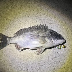 貴方でしたか…