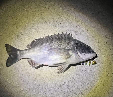 貴方でしたか…