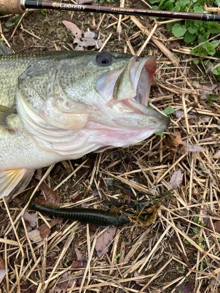 近所の川で50UPプリスポーン