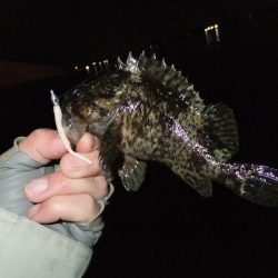 サクッとメバリング