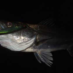 予想通りの苦戦