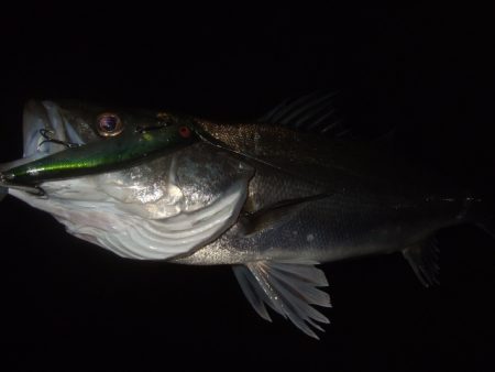 予想通りの苦戦