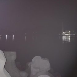 ナイトシーバス