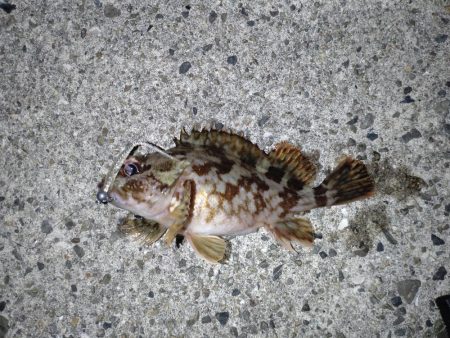 鬼爪がグッジョブでした