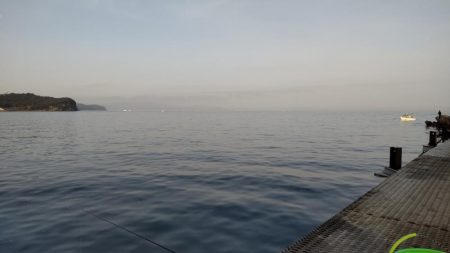 アジ沸きまくりでメジロ