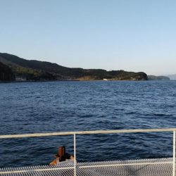 アジ沸きまくりで飲ませ瞬殺