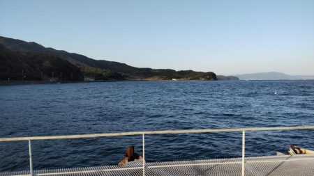 アジ沸きまくりで飲ませ瞬殺