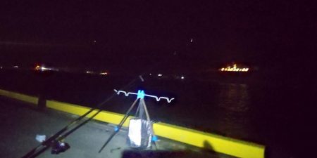 夜に釣れるとは…