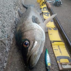 プチsalt water game