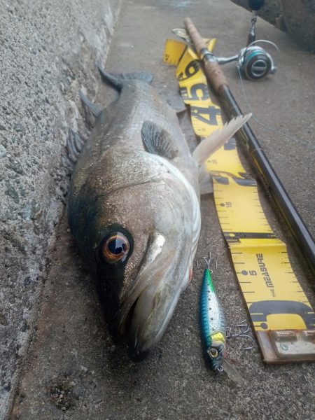 プチsalt water game