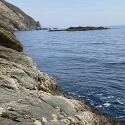 横のジャークで回収間際に寒鰤来た〜