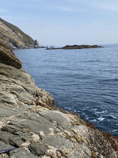 横のジャークで回収間際に寒鰤来た〜