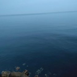 早朝メバリング