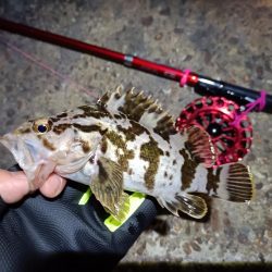 2023/03/24 南港ヘチ釣り釣行