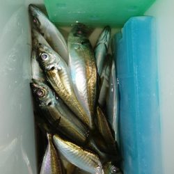 いつもの場所で