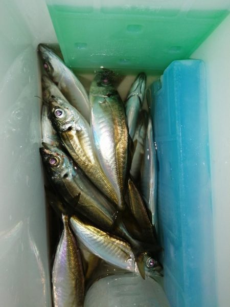 いつもの場所で