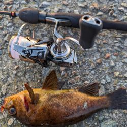 デイメバリング