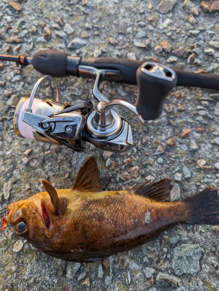 デイメバリング