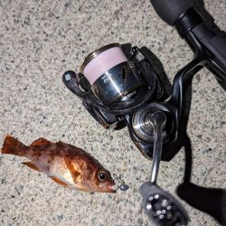 ナイトメバリング