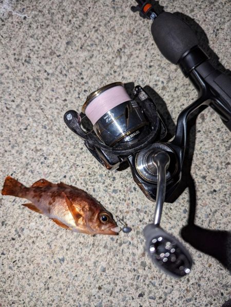 ナイトメバリング