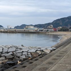 アジング＋α‬