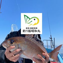 3/30ルアー真鯛釣りは大鯛デー