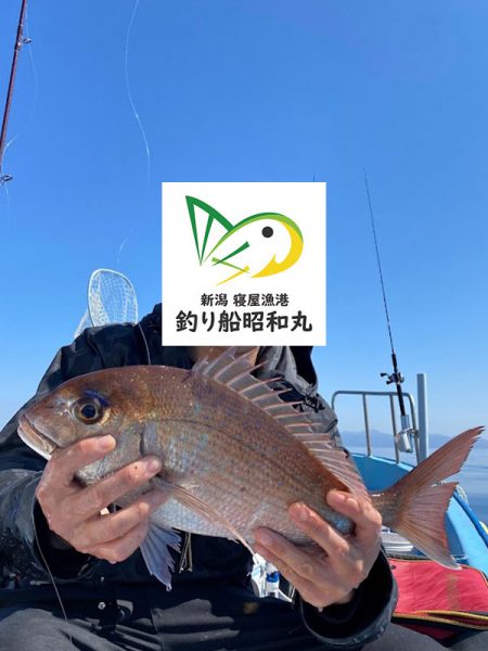 3/30ルアー真鯛釣りは大鯛デー