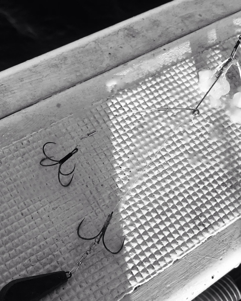 神戸沖カットウ釣り