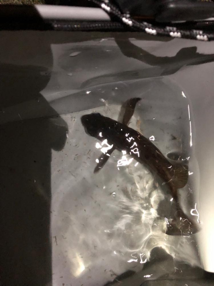 3連続坊主からの脱出