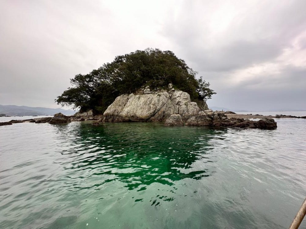 宿毛湾へマッスルチヌ釣行