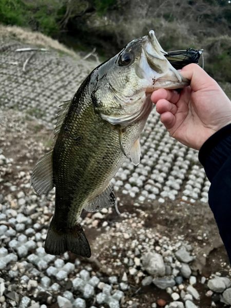 春がすぐそこまで来ている予感