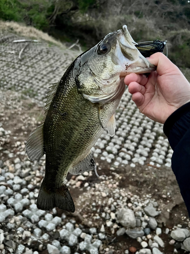 春がすぐそこまで来ている予感