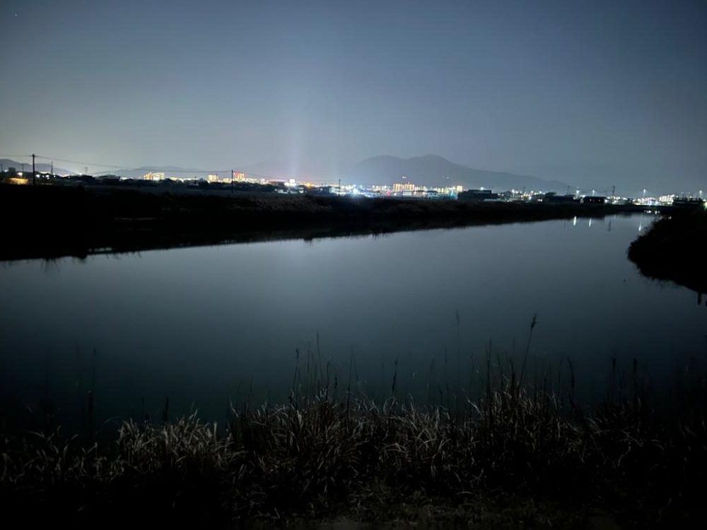 この時期のこのサイズは嬉しい