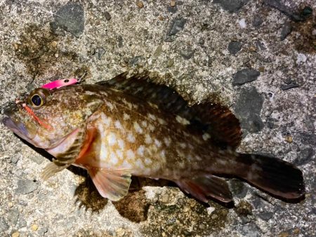 ヒラリンでメバリングゲームにゃ！