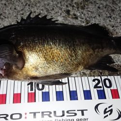 自己新記録達成！