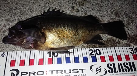 自己新記録達成！