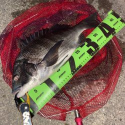 ヘチってきました