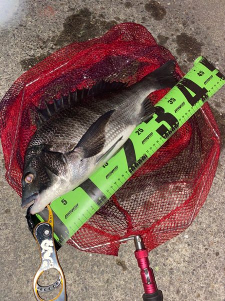 ヘチってきました