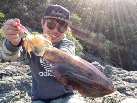 アオリイカ1.3キロオーバー