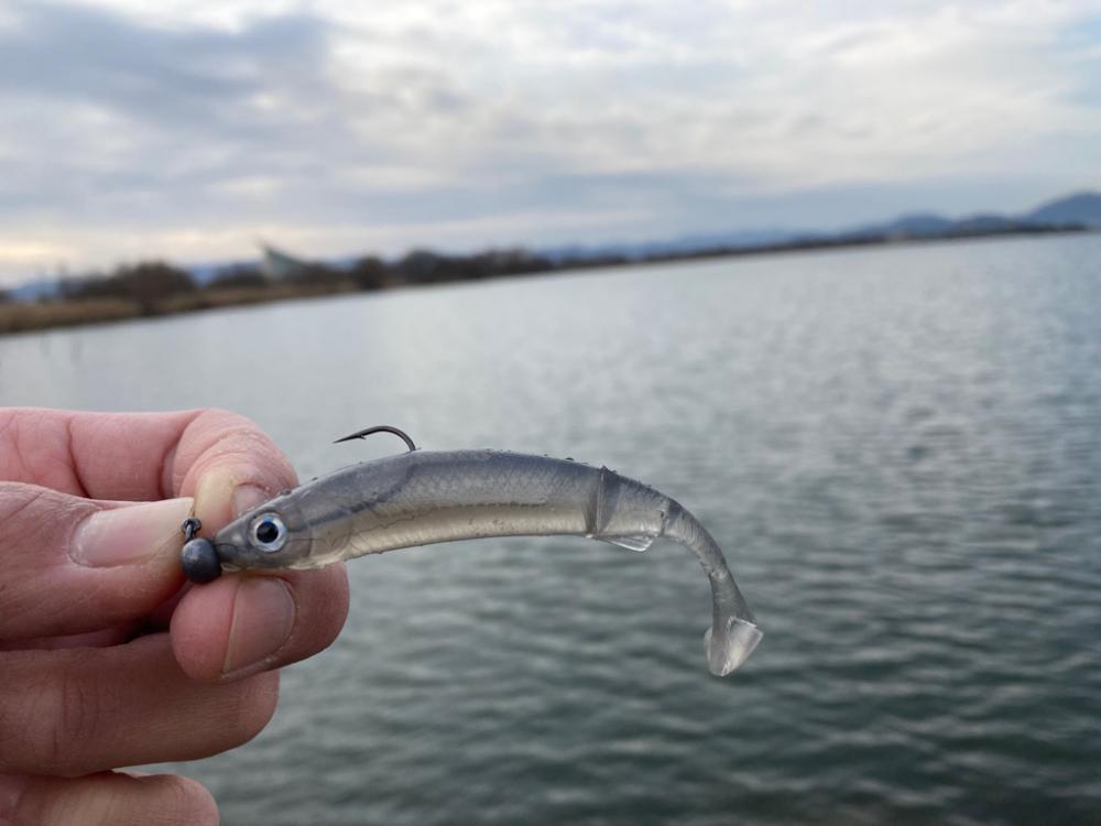 早春のデカバス