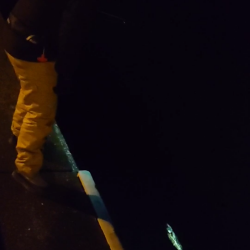 待望のパターン