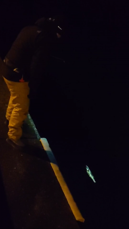 待望のパターン