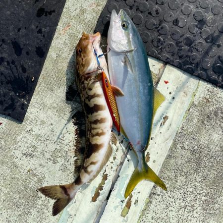 プレのっこみ真鯛な鯛ジギング♬