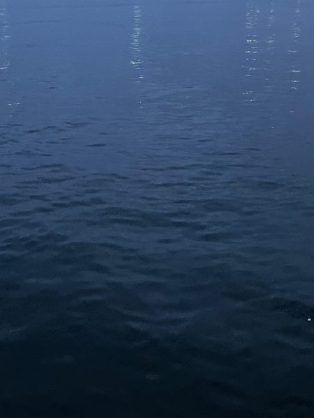 ジグ単de〜アジング！一瞬！