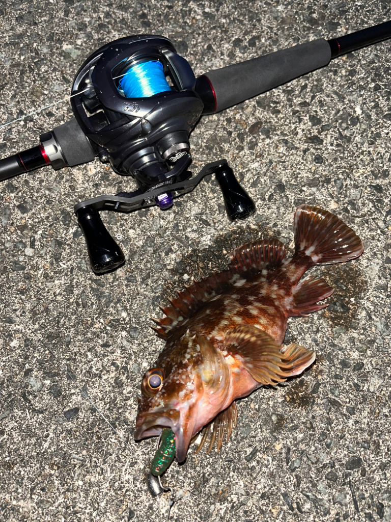 ロックフィッシュ