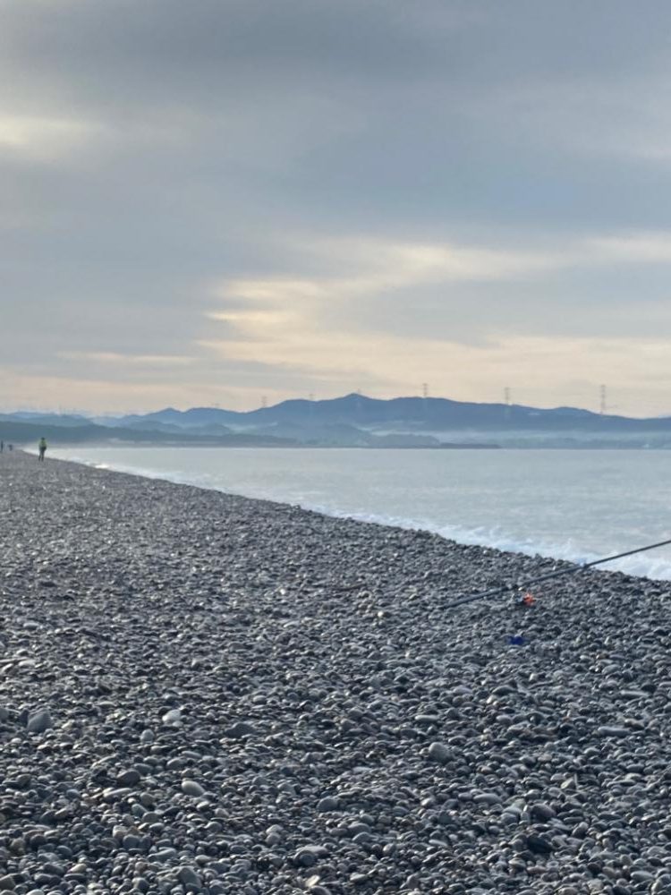 サーフでメジロ